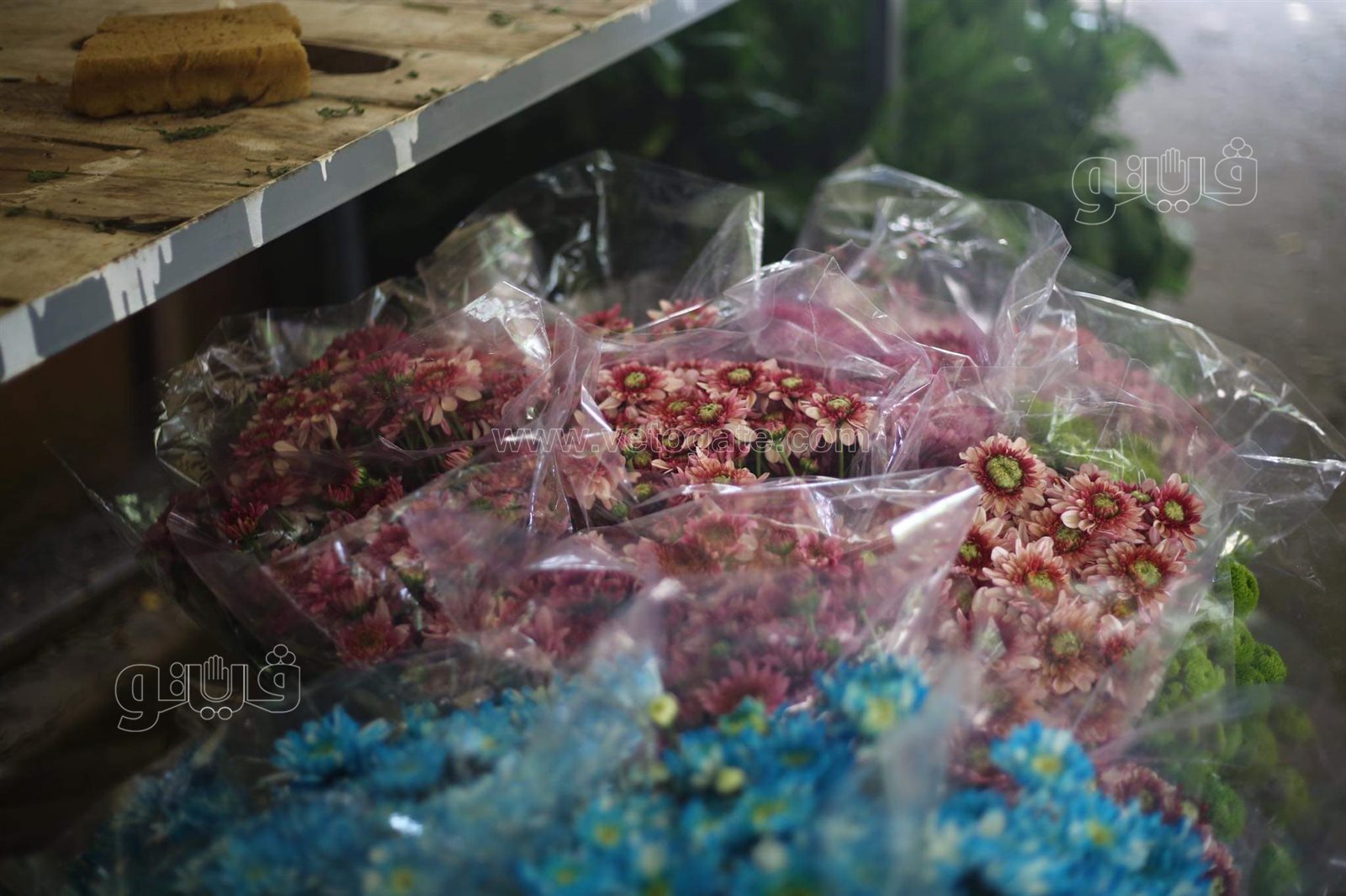 received_285895476320648