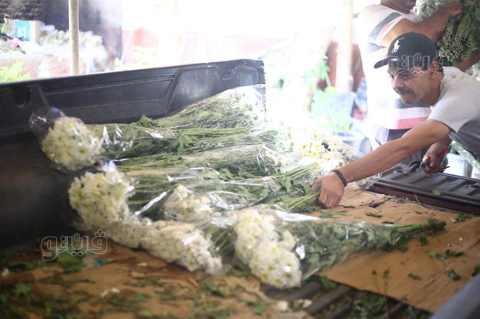 received_284245053157455