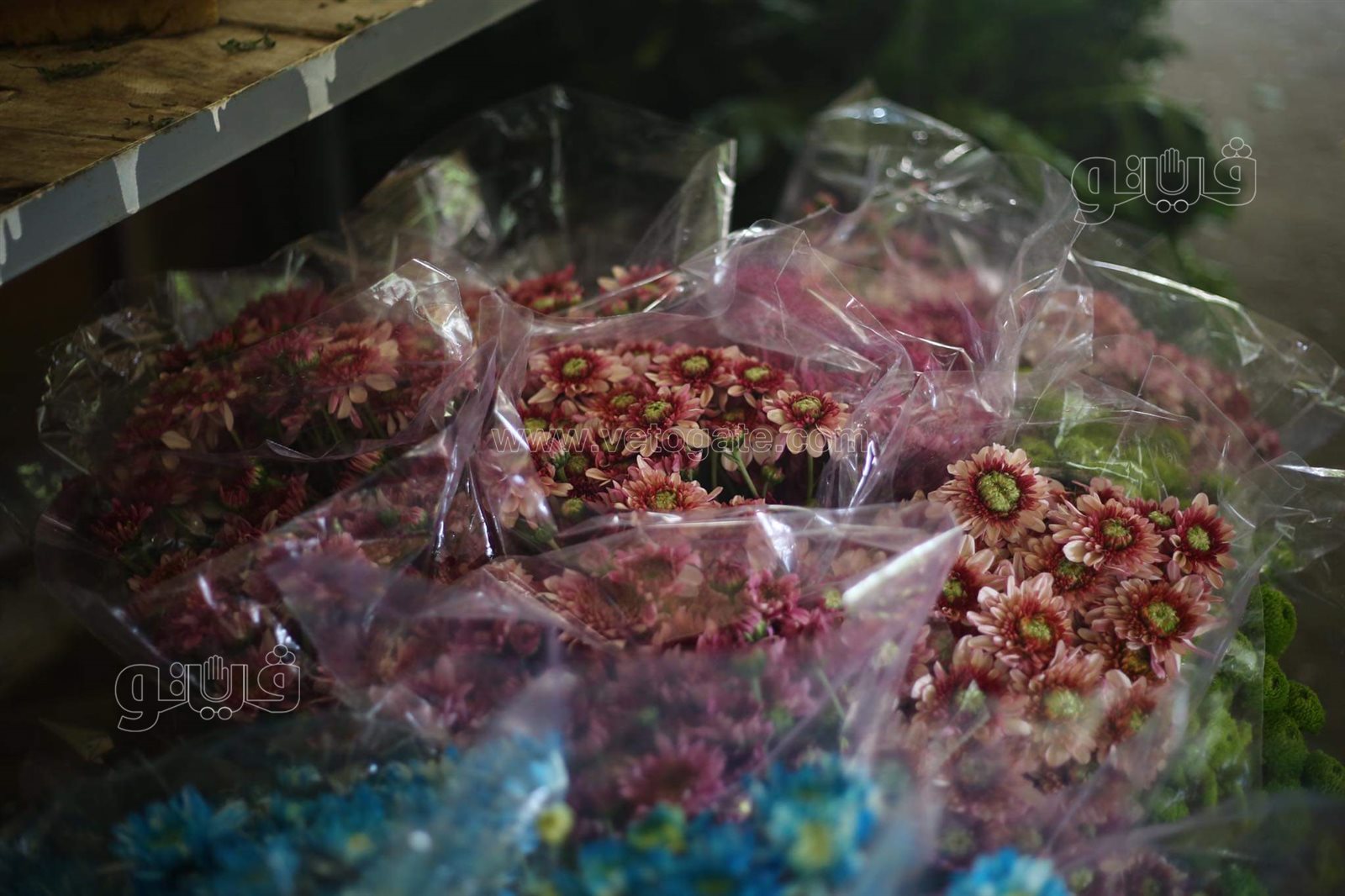 received_146401394350288