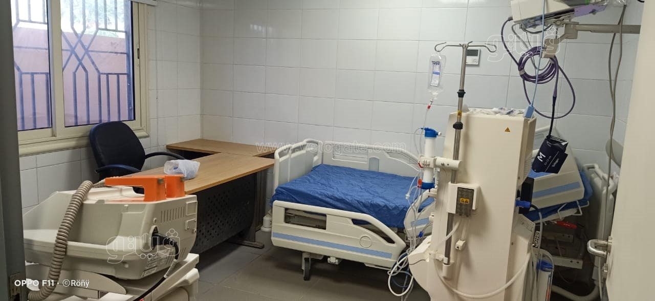 241768541_1238372496638604_7581970898440912703_n