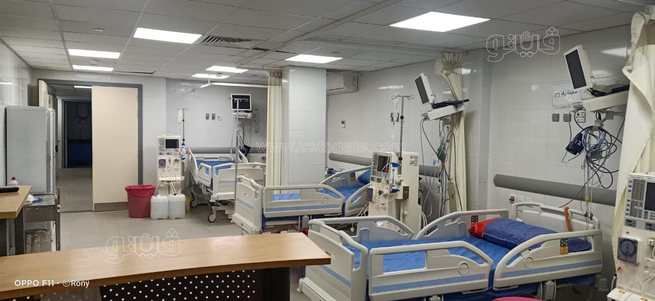 241808351_1238372406638613_7417976217319808104_n