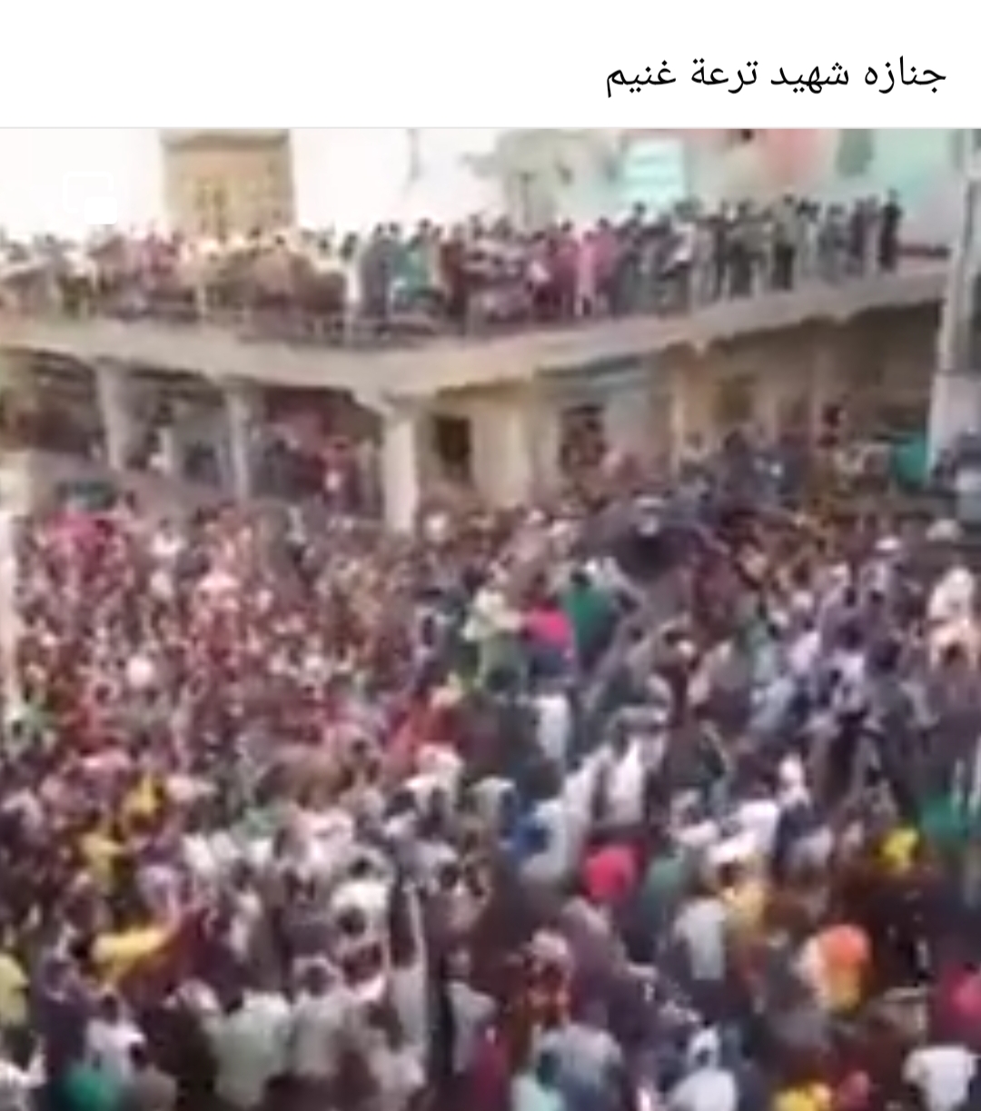 IMG_٢٠٢١٠٩١٢_١٩٢٧٣٩