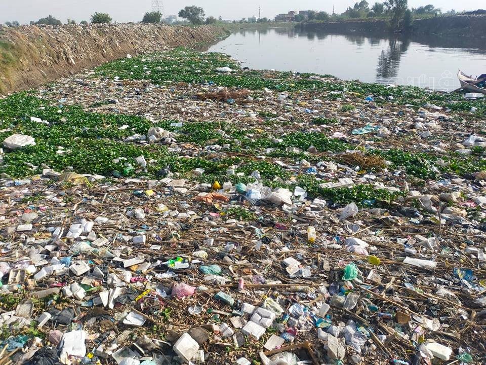 241681906_144233347899846_435877325508888918_n