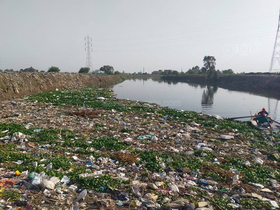 241753337_391697779264411_5141557983144154710_n