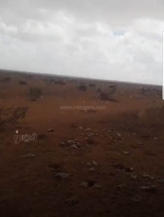 أمطار على براني (5)