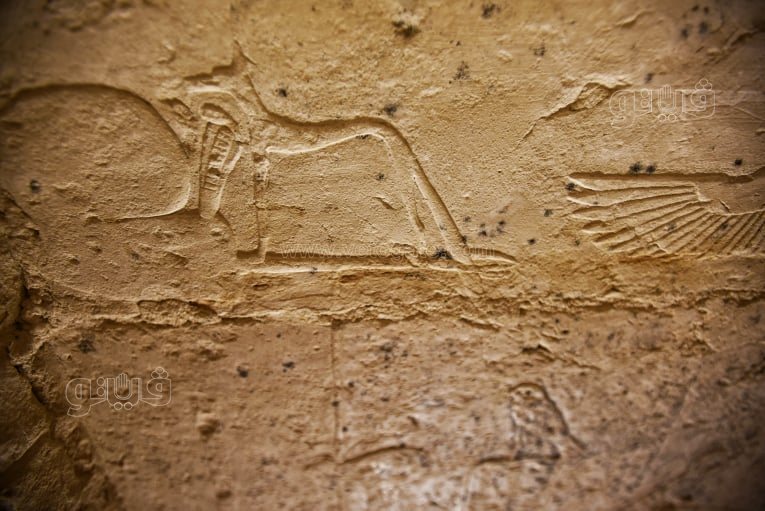 ترميم المقبرة الجنوبية للملك زوسر (21)