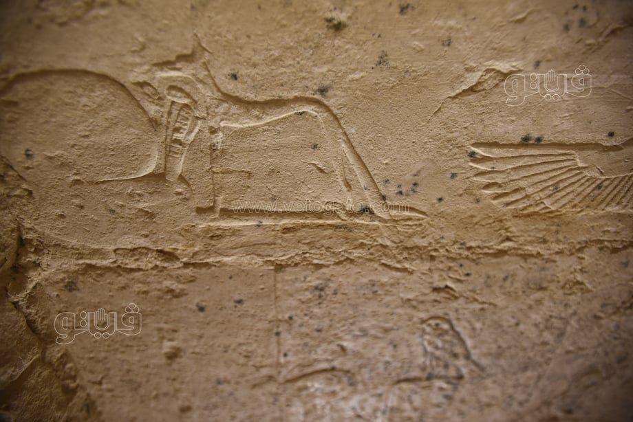 ترميم المقبرة الجنوبية للملك زوسر (29)