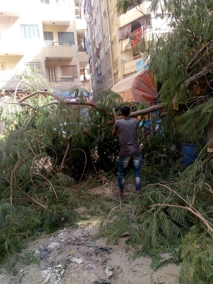 241904414_2955759721344771_1309618772703812995_n