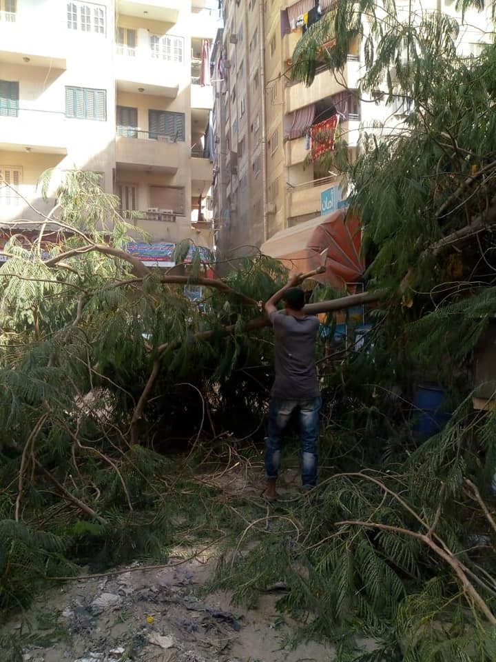 241872996_2955759658011444_4275936113328117910_n