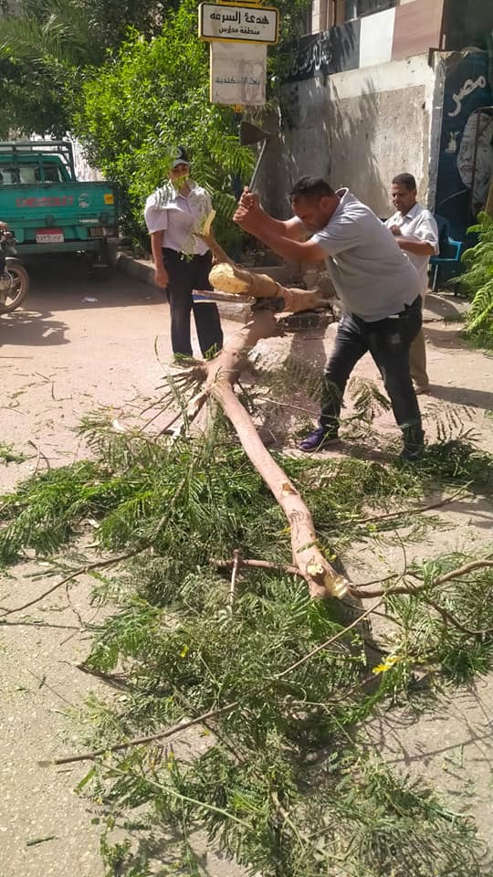 241956660_2955759624678114_361406560444611571_n