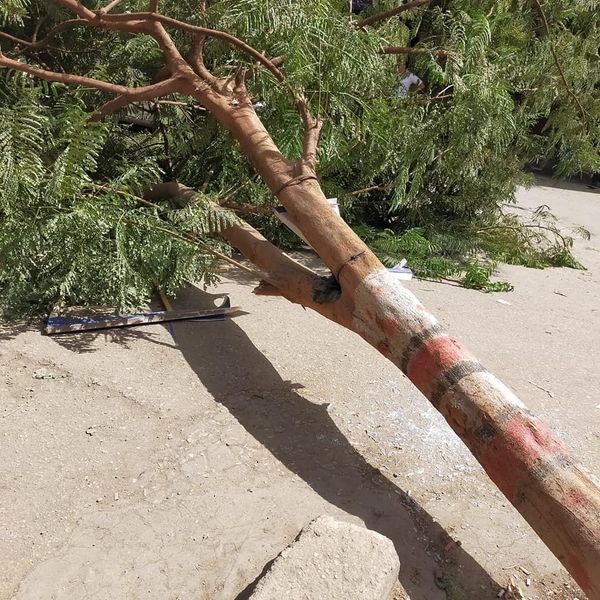 241928852_2955759568011453_4977844309350913209_n