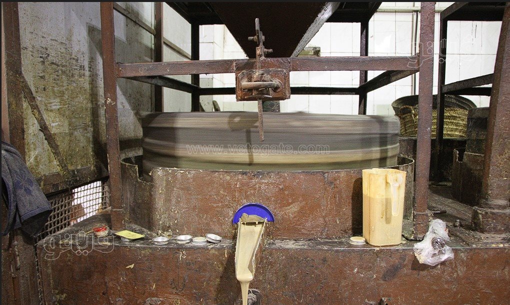  طريقة عمل الطحينة بالسرجة (8)