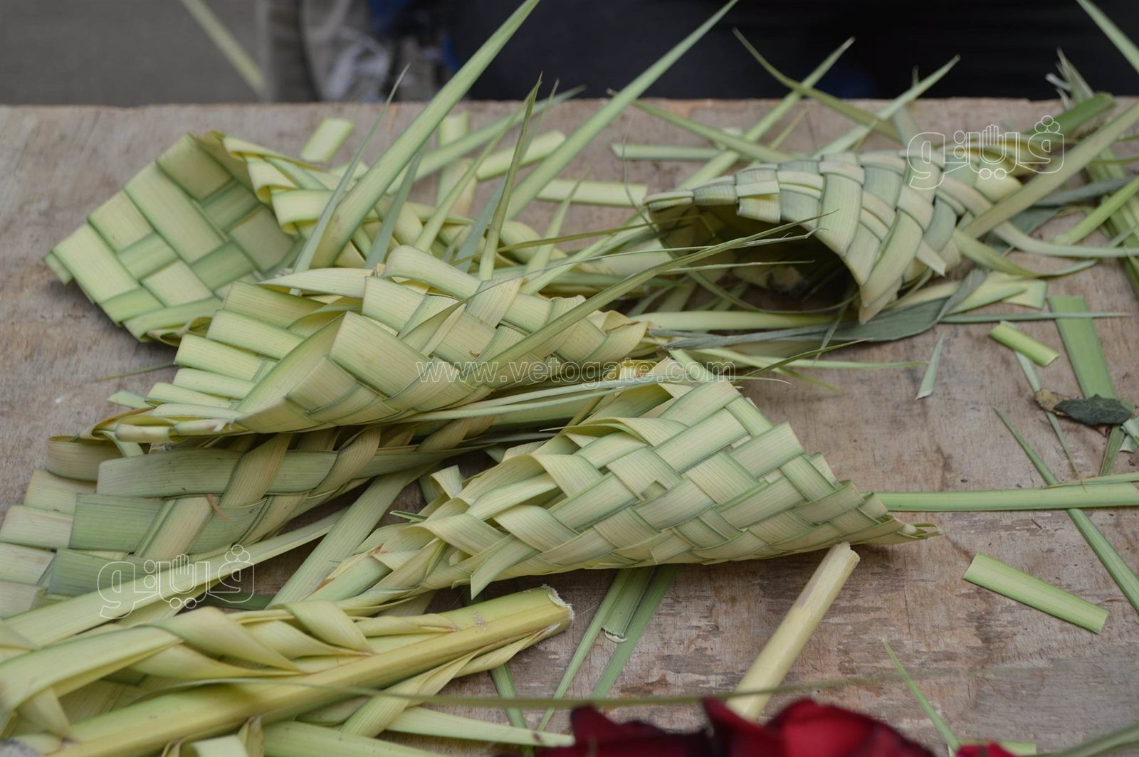  صناعة السعف أمام كنائس شبرا للاحتفال بأحد الشعانين (4)