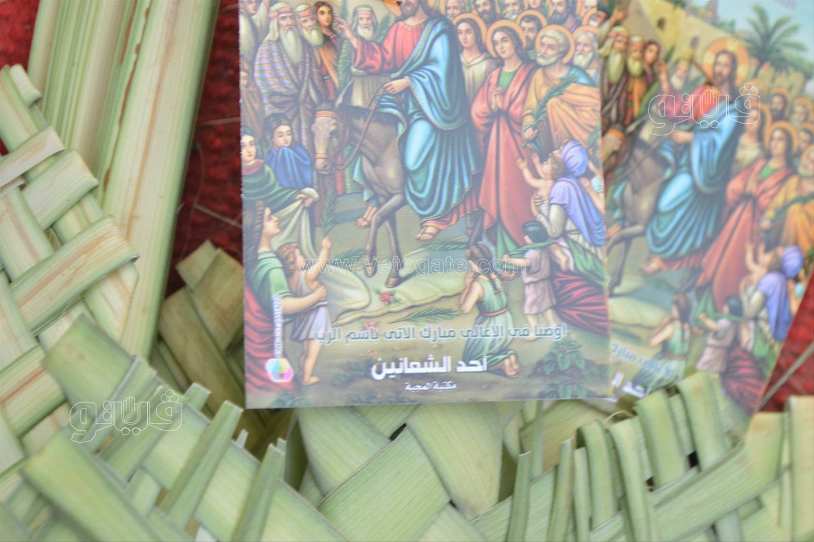  صناعة السعف أمام كنائس شبرا للاحتفال بأحد الشعانين (5)