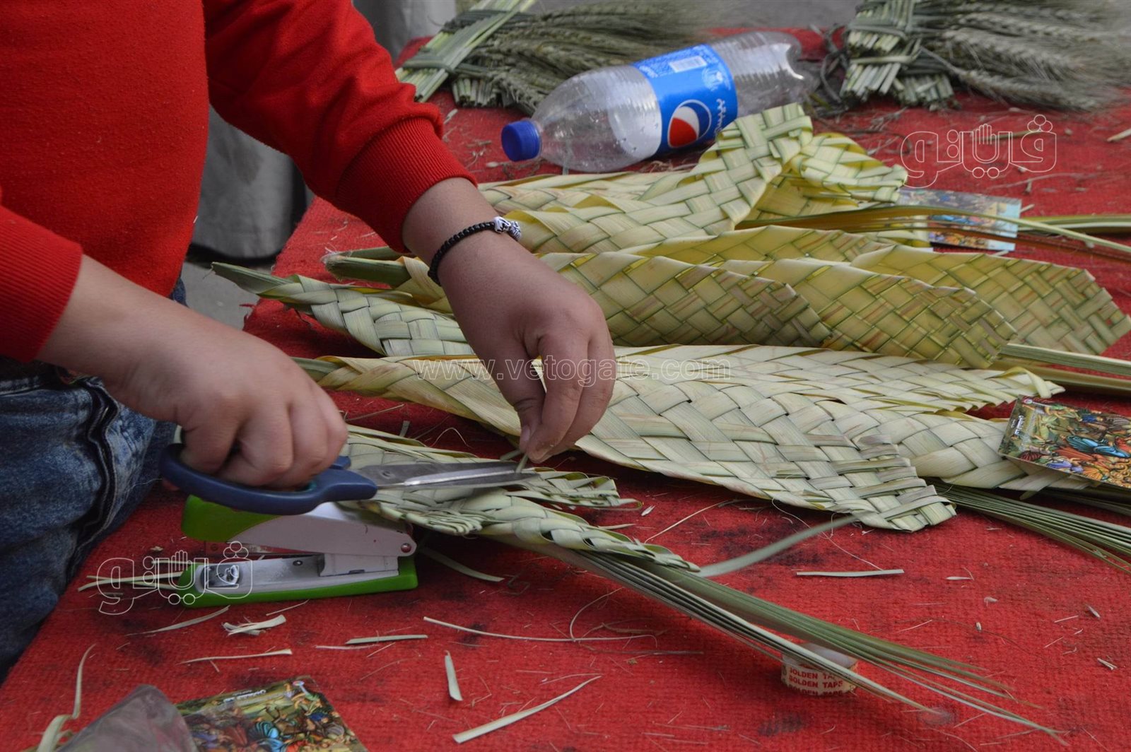  صناعة السعف أمام كنائس شبرا للاحتفال بأحد الشعانين (6)