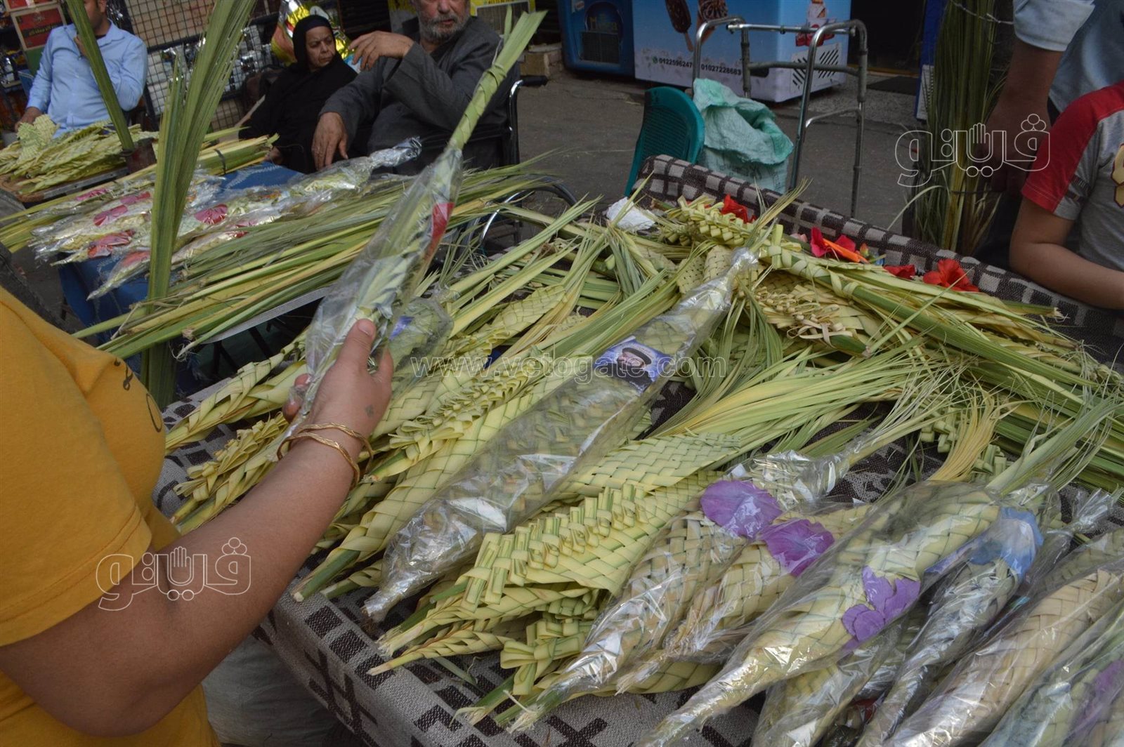  صناعة السعف أمام كنائس شبرا للاحتفال بأحد الشعانين (7)