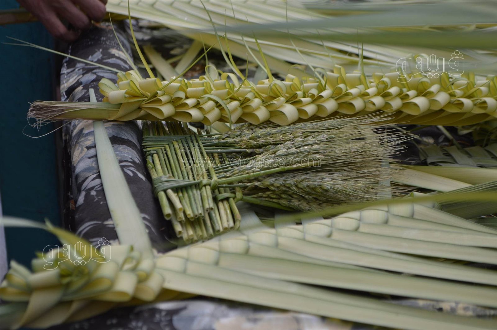  صناعة السعف أمام كنائس شبرا للاحتفال بأحد الشعانين (14)