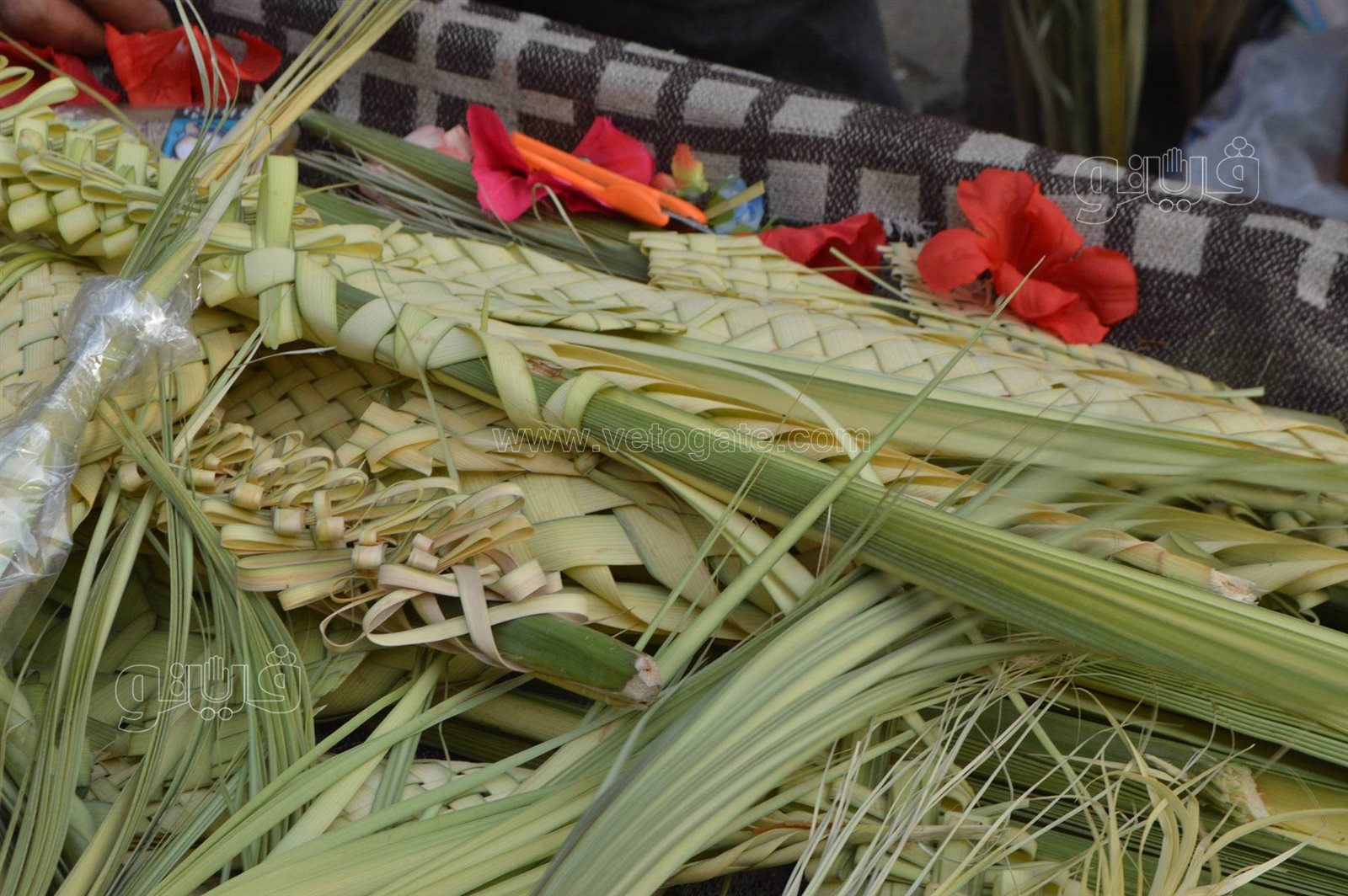  صناعة السعف أمام كنائس شبرا للاحتفال بأحد الشعانين (19)