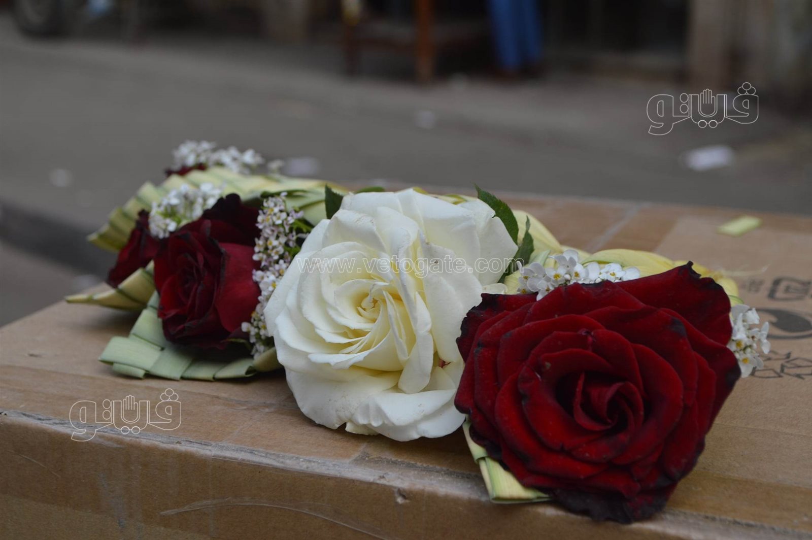  صناعة السعف أمام كنائس شبرا للاحتفال بأحد الشعانين (22)