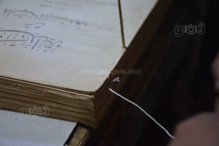 241996726_924138378176008_7396331421273730186_n