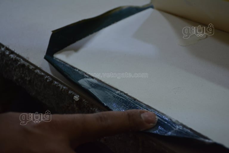 242017742_217007250472591_8481035097069664960_n