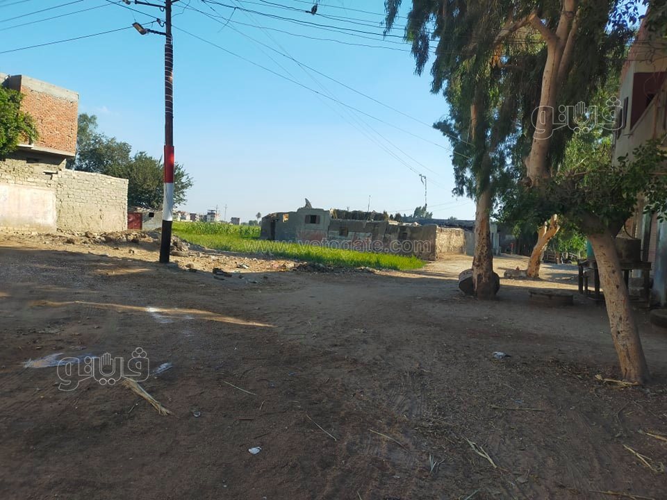 241958617_202155088584872_4307251083227955421_n