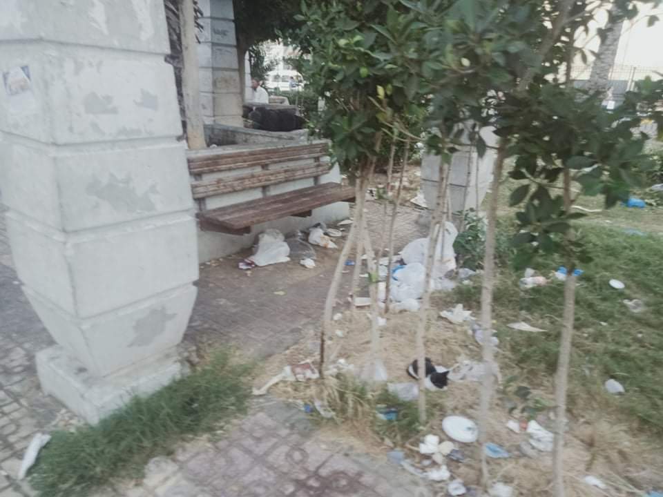 inbound63165381959345029