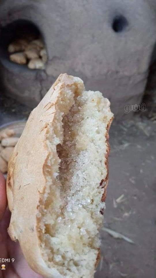 240119933_827001011513565_563622058452388617_n