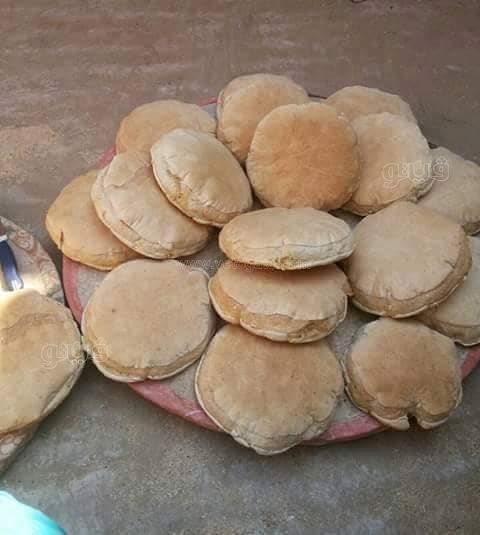 240635271_1007121523419966_2317802123231599075_n