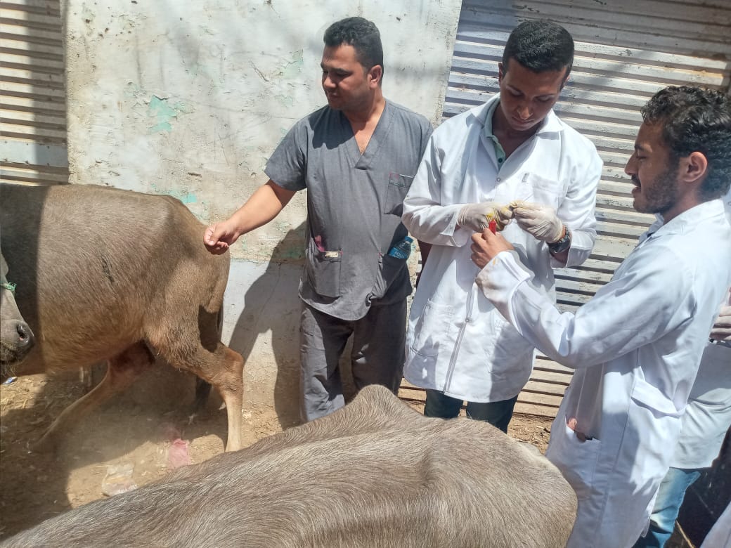 69e67eaa-5ac7-4e9e-9692-8bd85b5bfb44