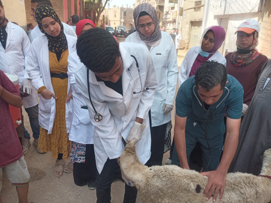 bf22d879-b393-4f07-94c2-d4d336577cc9