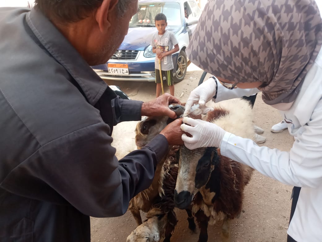 d93654dd-065f-41cf-90e6-3346e1ee2a47