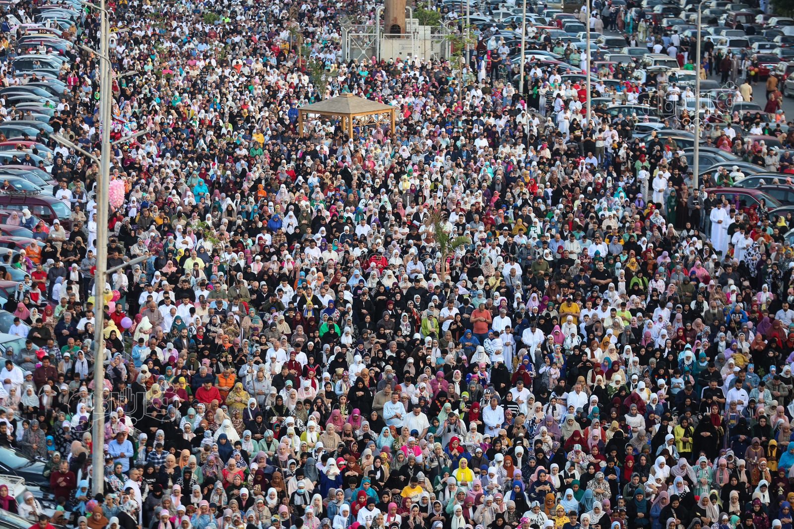 فرحة عيد الفطر (21)