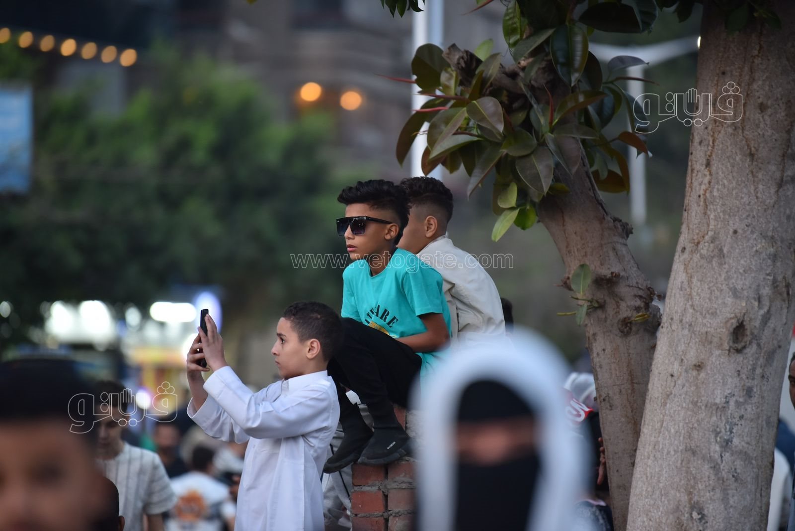 40358d82-3080-466a-81d0-44a0e08a91b9