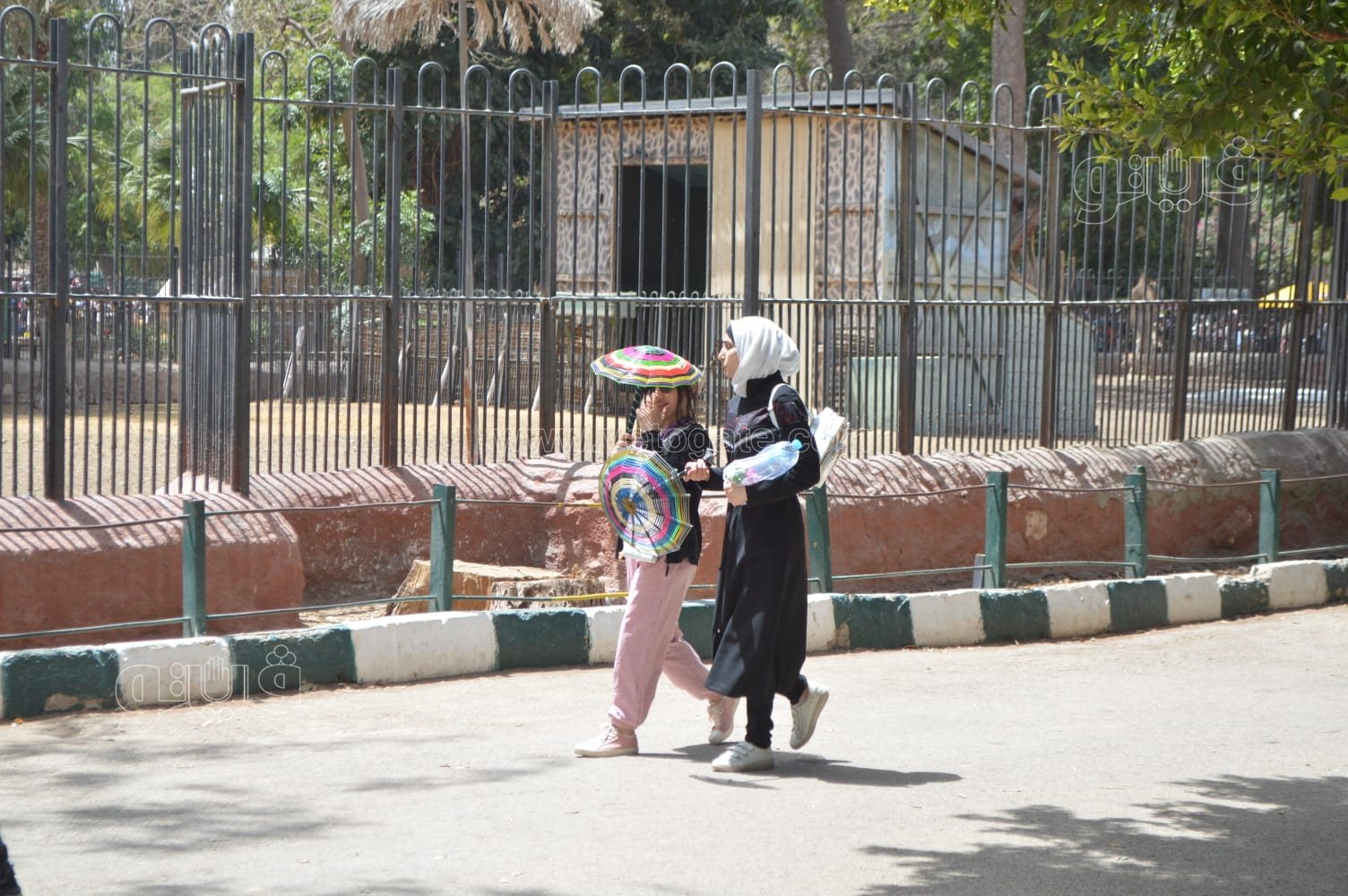 زوار حديقة الحيوان يلجأون للمظلات للاحتماء من أشعة الشمس (3)