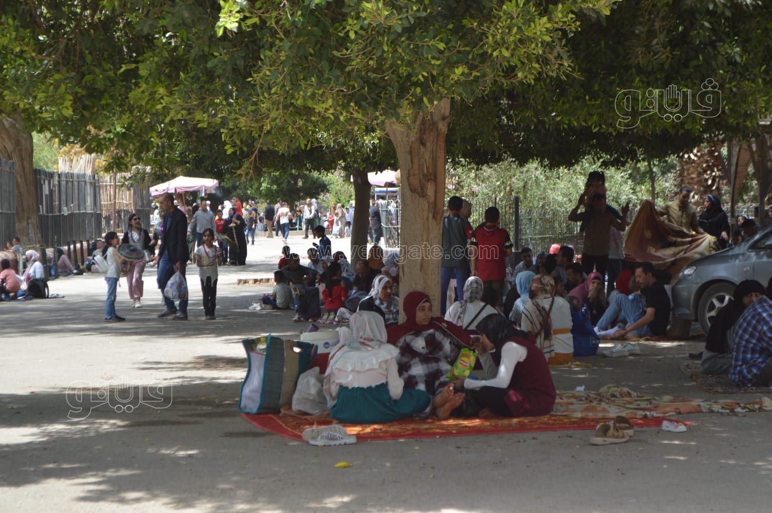 زوار حديقة الحيوان يلجأون للمظلات للاحتماء من أشعة الشمس (6)