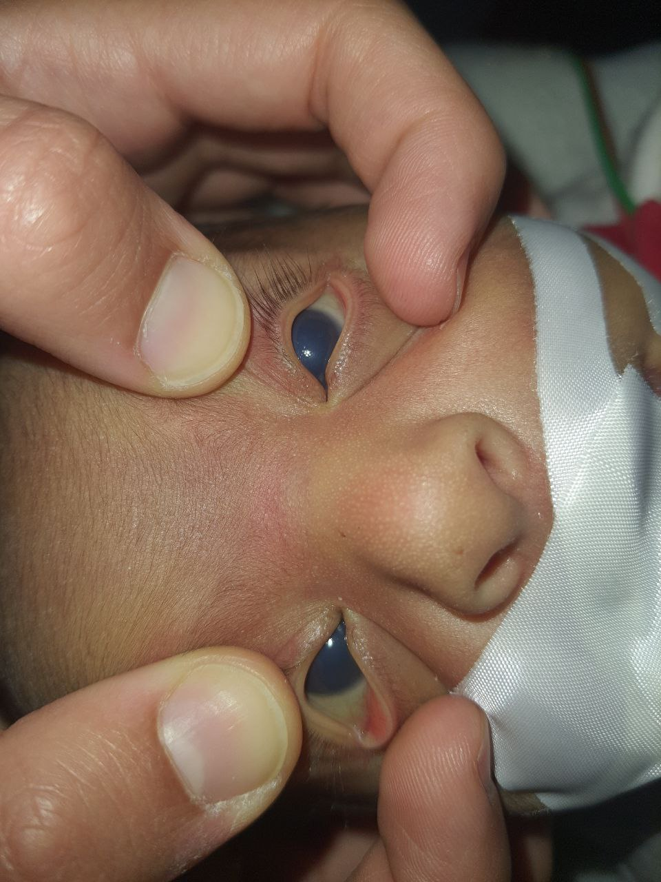 A person holding a baby

Description automatically generated with medium confidence