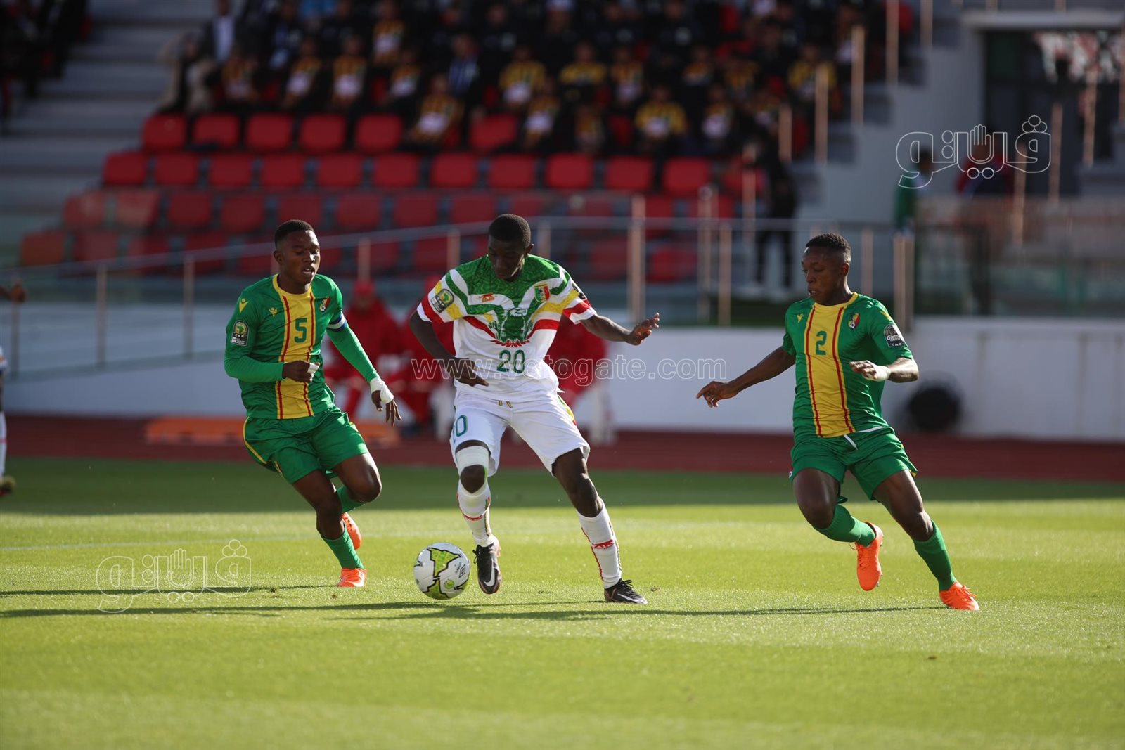 مالي والكونغو (3)