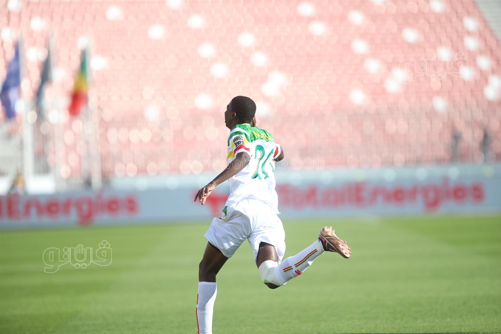 مالي والكونغو (4)