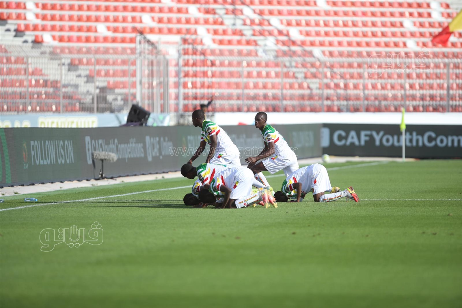 مالي والكونغو (6)