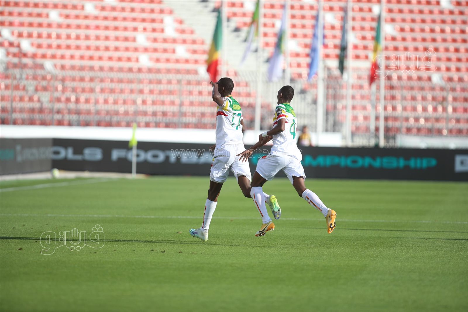 مالي والكونغو (9)