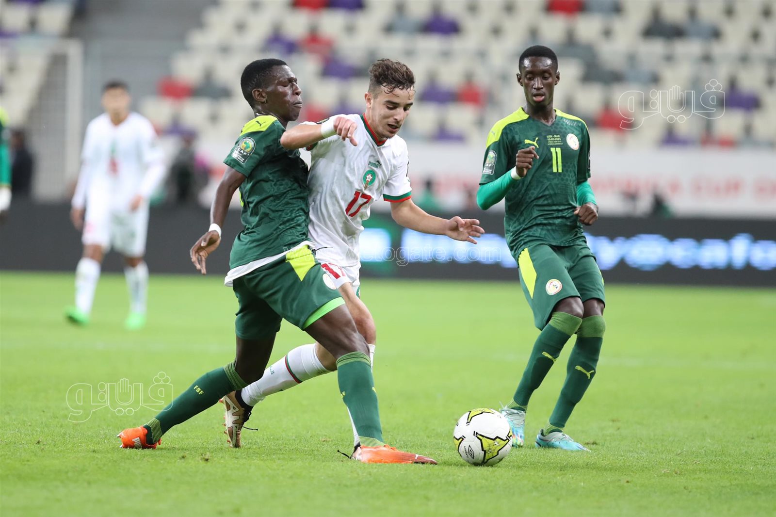 السنغال والمغرب (4)