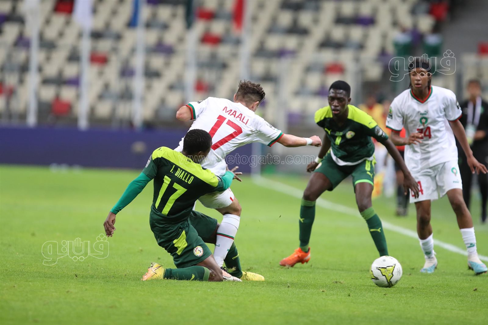 السنغال والمغرب (6)