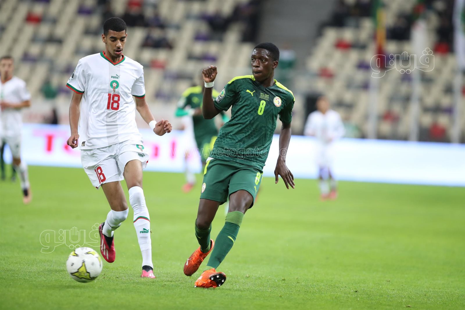 السنغال والمغرب (9)