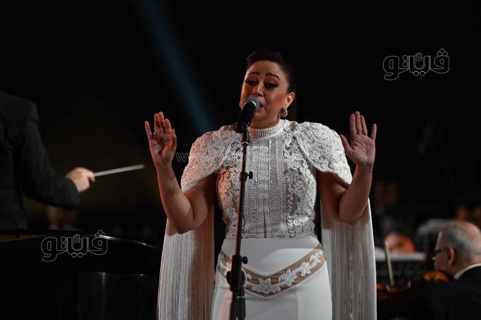 ريهام عبدالحكيم تتألق في حفل الصوت والضوء مع عمر خيرت (2)