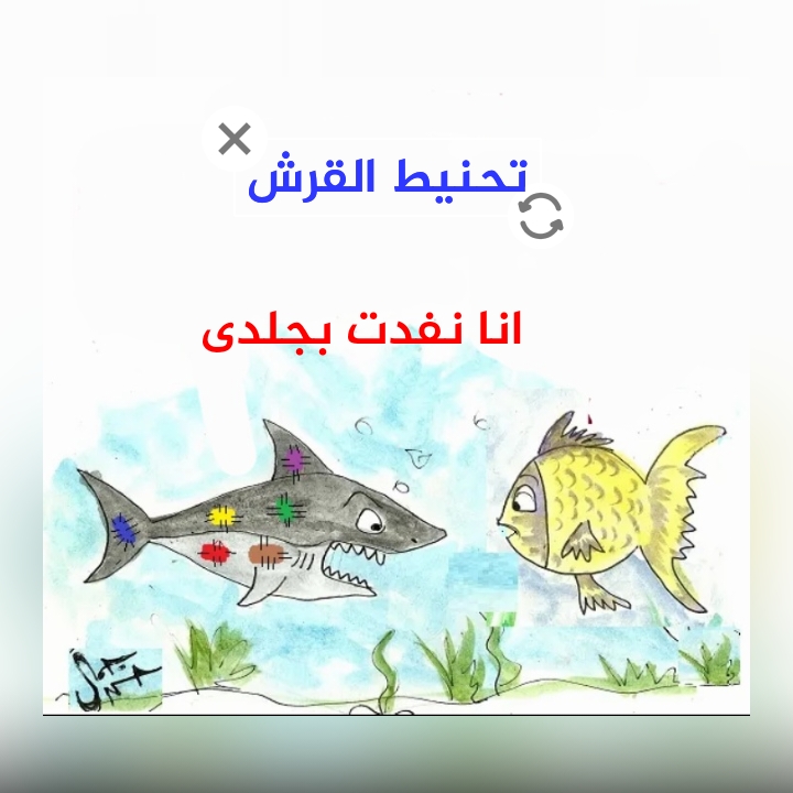 القرش تحنيط