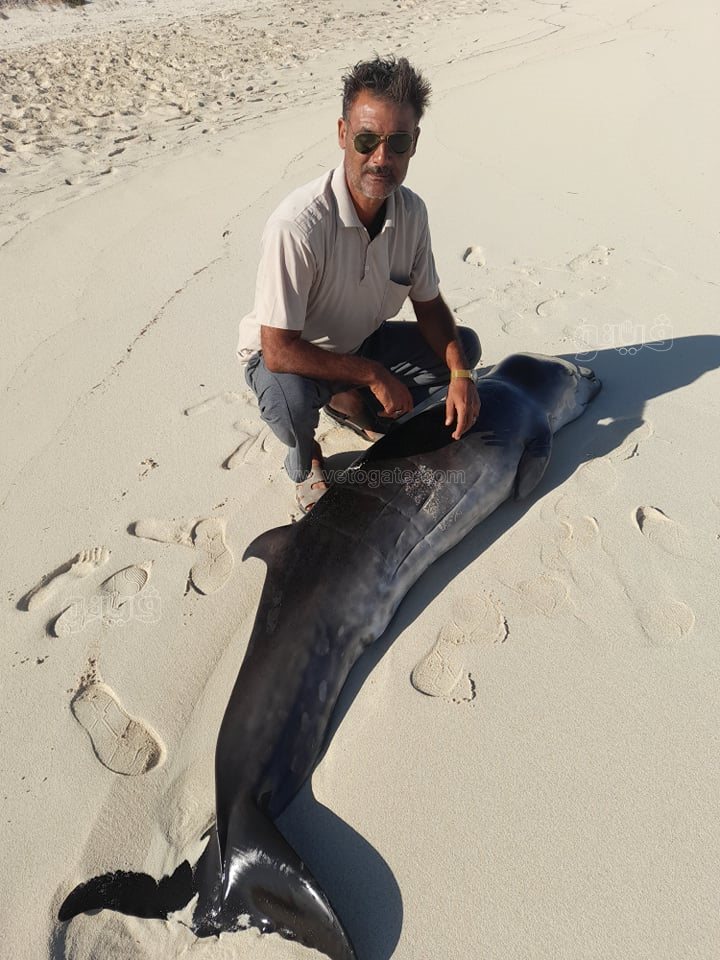 243088645_2677134525913477_699343819703604470_n