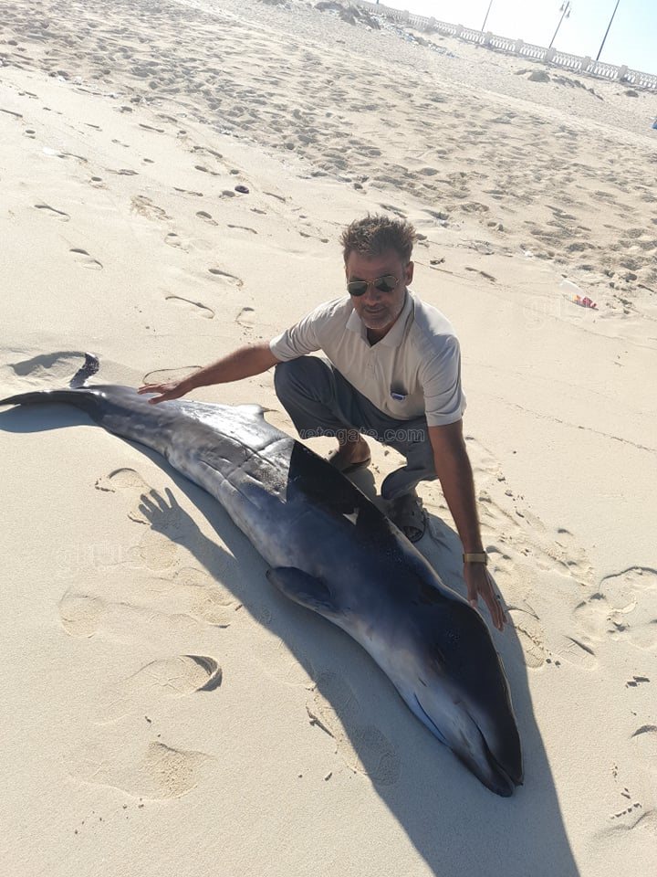 243136667_206657324895348_6920550864166044489_n