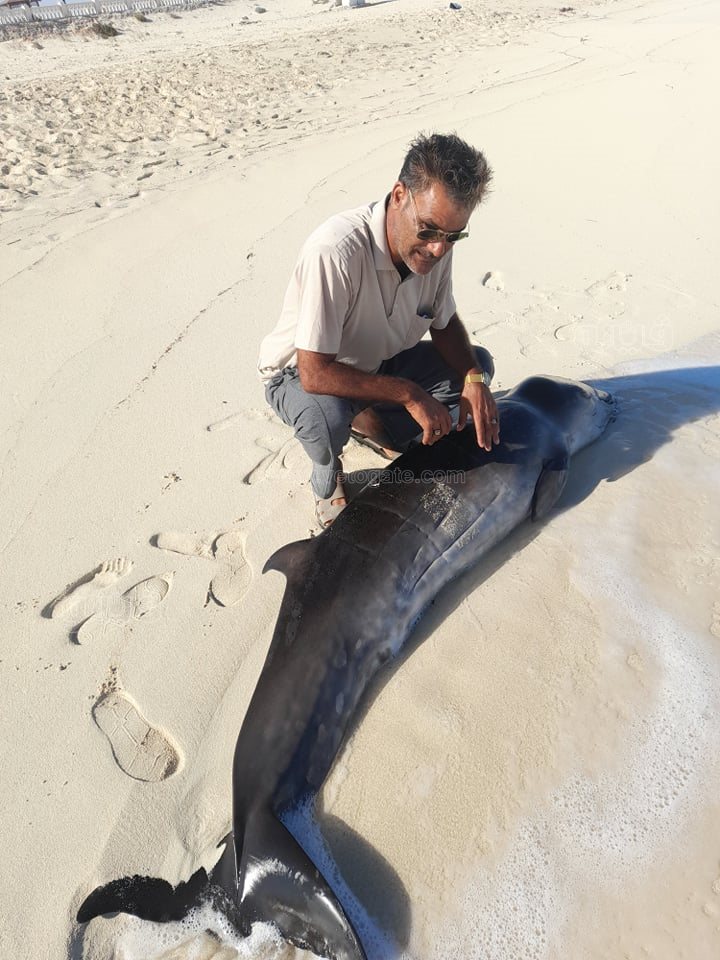 243547633_610098990351828_6859397409475132635_n