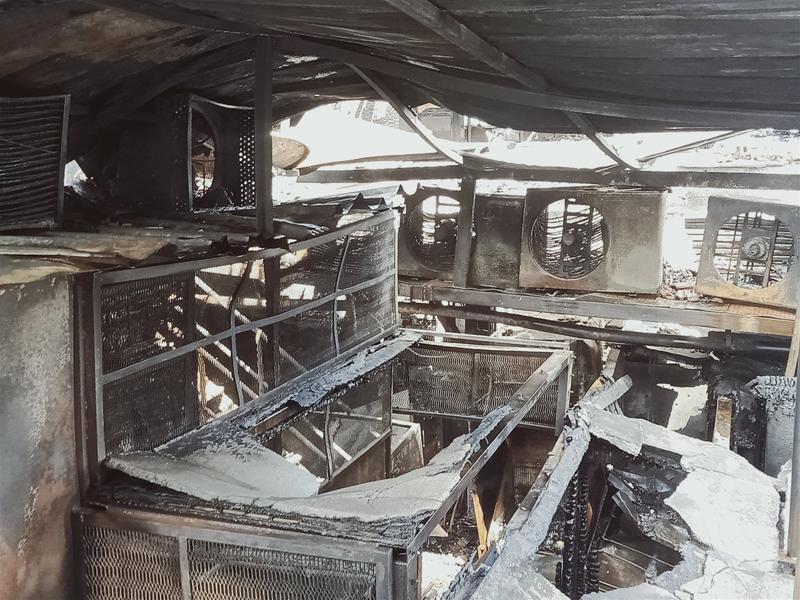 inbound5562850082416804511